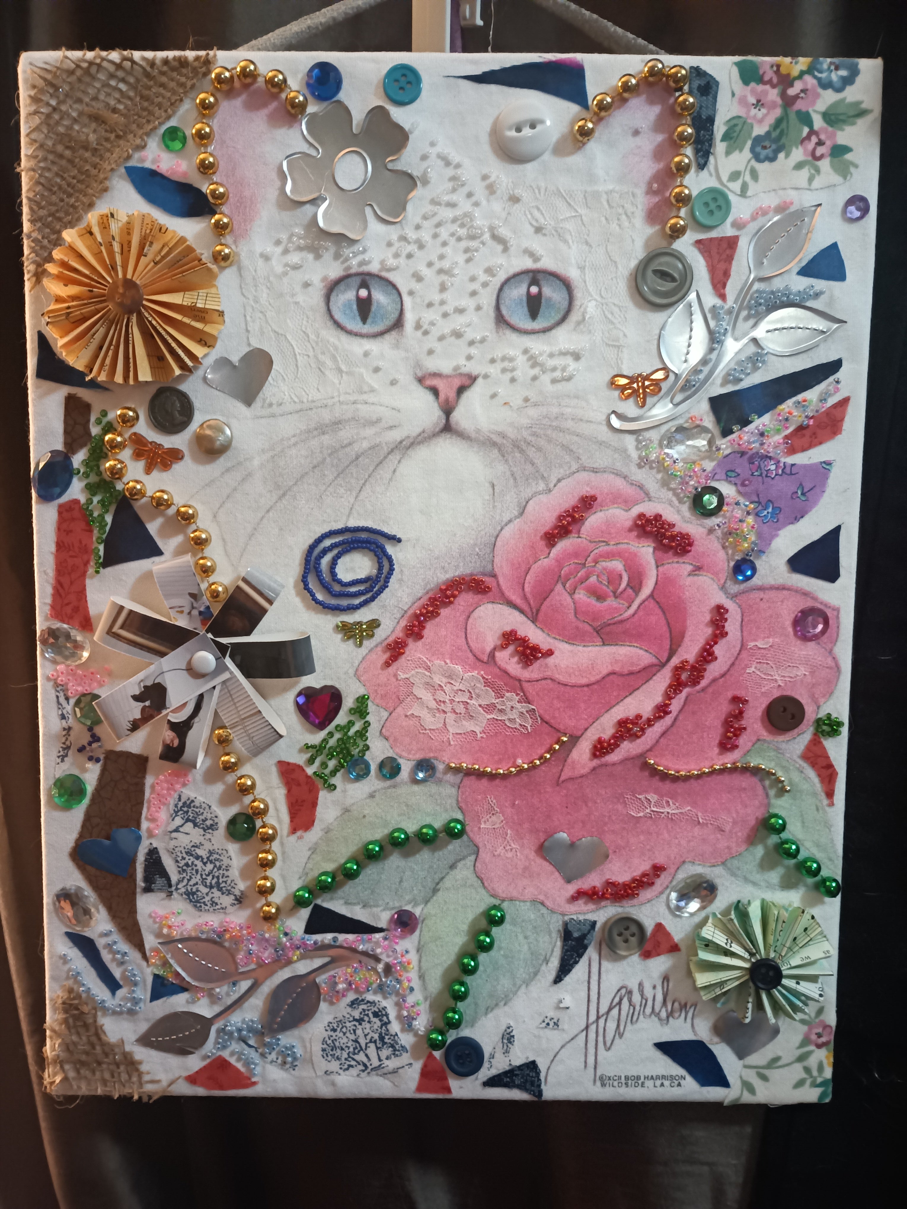 cat collage