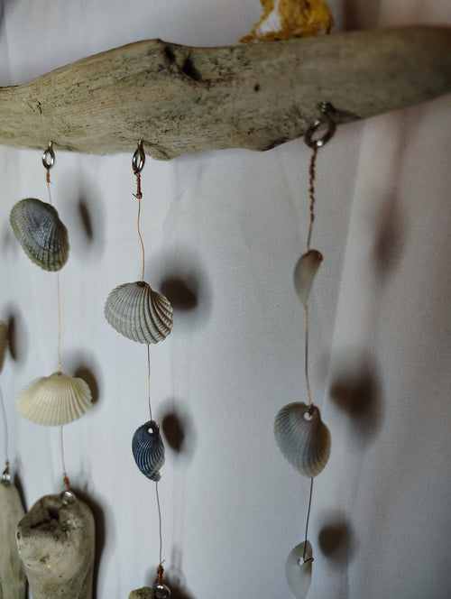 driftwood and shell decor