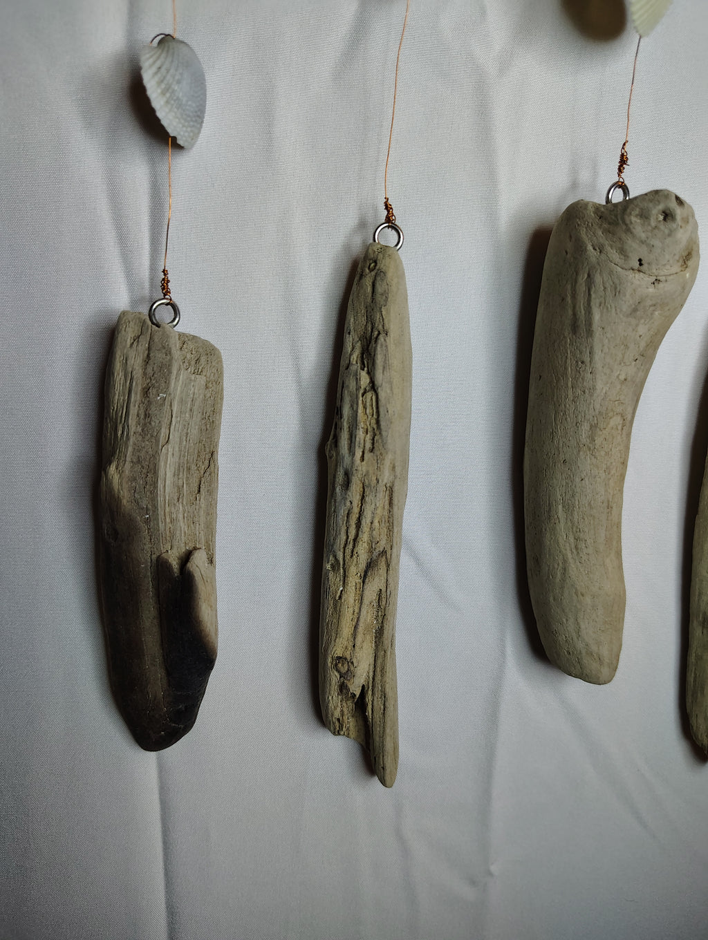driftwood and shell decor