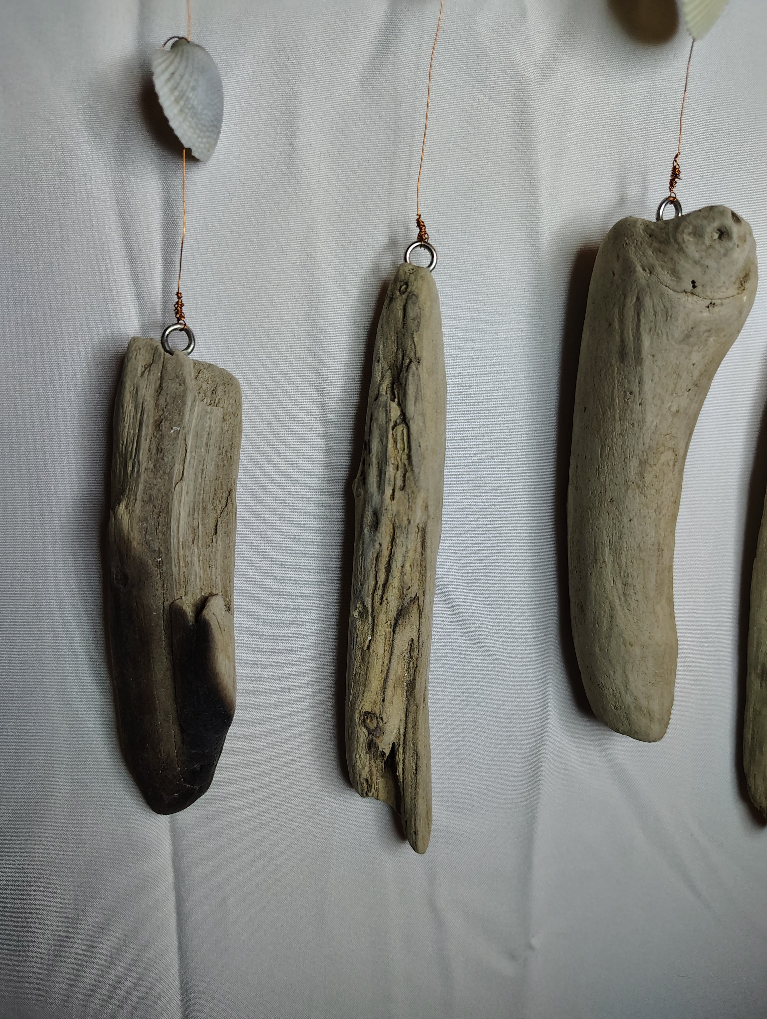 driftwood and shell decor