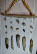driftwood and shell decor