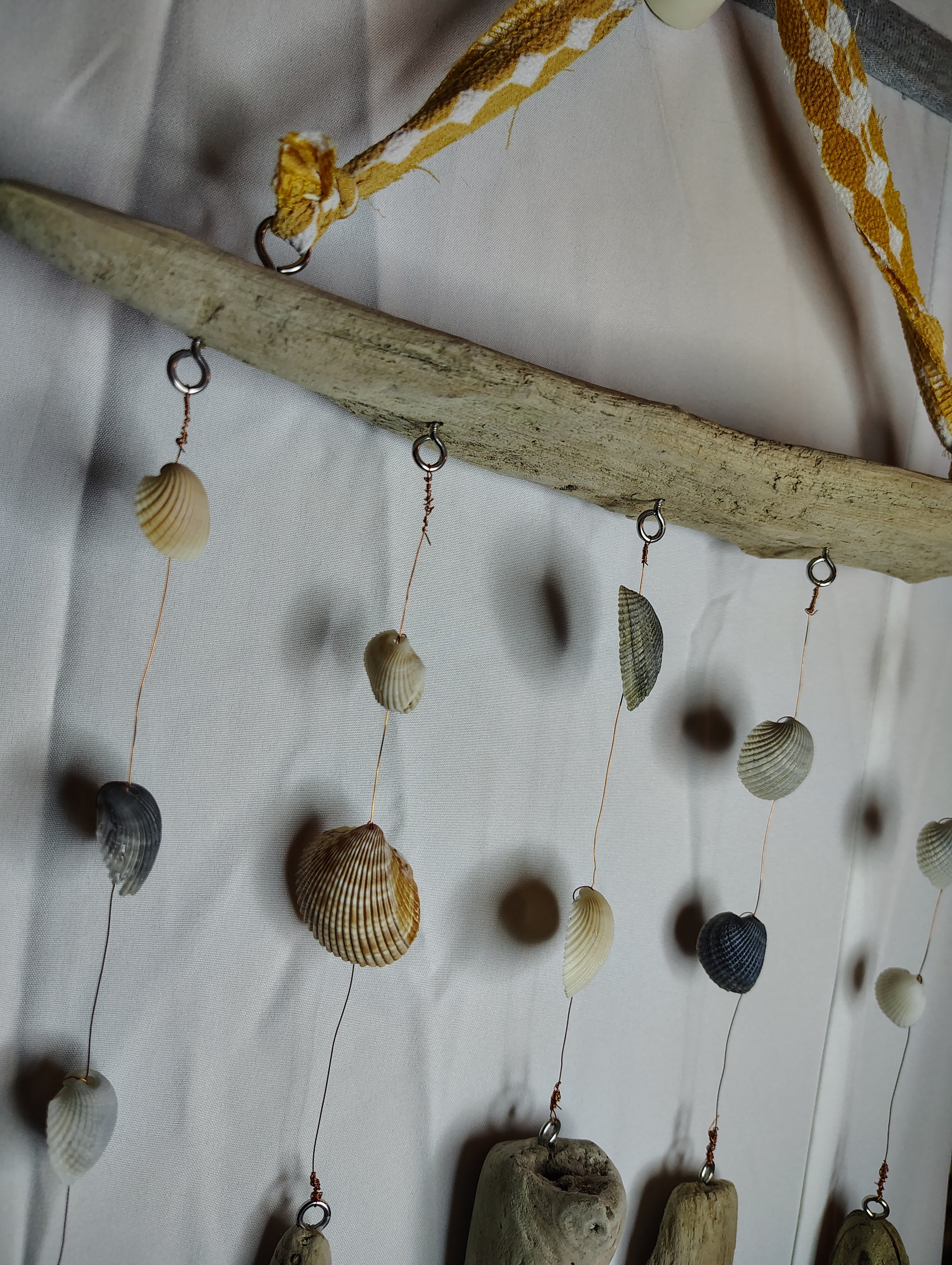 driftwood and shell decor